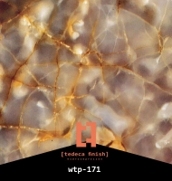 wtp-171