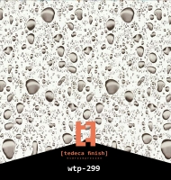 wtp-299