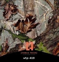 wtp-419