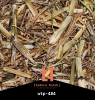 wtp-484