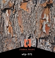 wtp-571